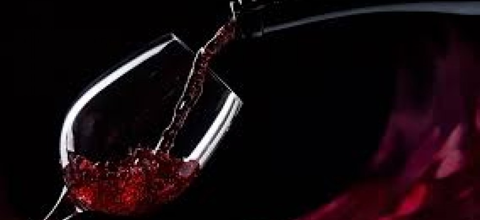 Per la Guida Slow Wine bene i giovani produttori di Teroldego e il vitigno nosiola